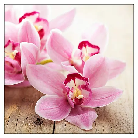Leinwandbild Young Living