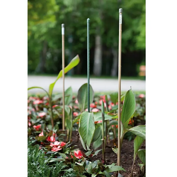 Windhager Pflanzenstab - Länge: 180 cm, Durchmesser: 16 mm, Stahl