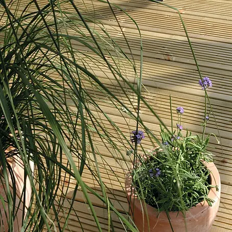 Terrassendiele