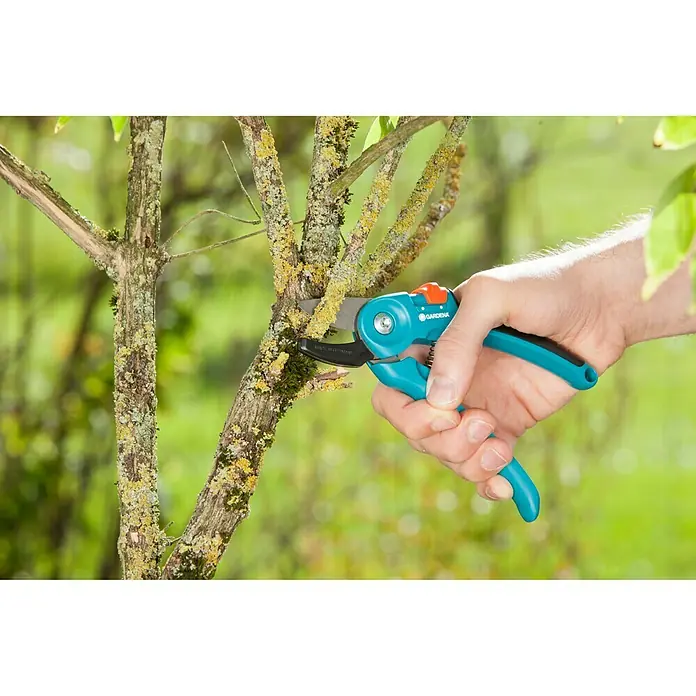 Gardena Classic Gartenschere A/S - Amboss, Max. Aststärke: 18 mm - Anwendungsbeispiel