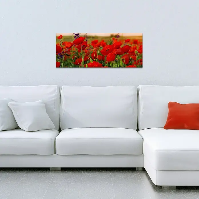 Glasbild - Summer Poppy Field, B x H: 125 x 50 cm - Stimmungsaufnahme