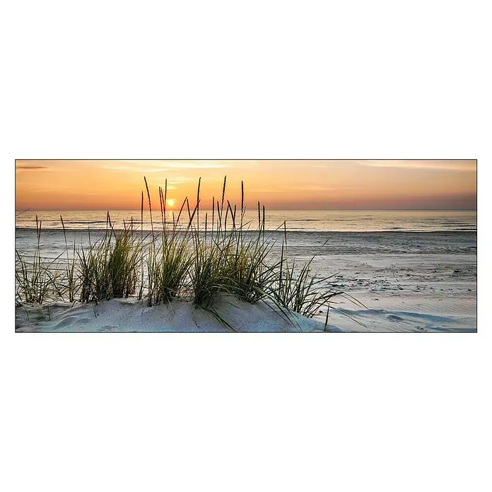 ProArt Maritime Glasbild - Lonely Dune, B x H: 125 x 50 cm - Vorderansicht
