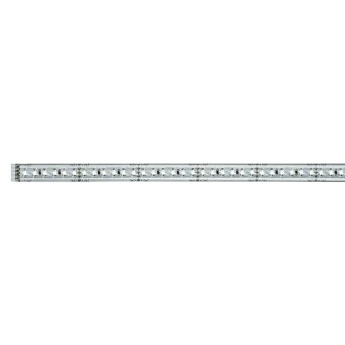Paulmann LED-Band MaxLED 1000 - 1 m, Warmweiß, 13,5 W, Einsatzbereich: Wohnzimmer - Vorderansicht