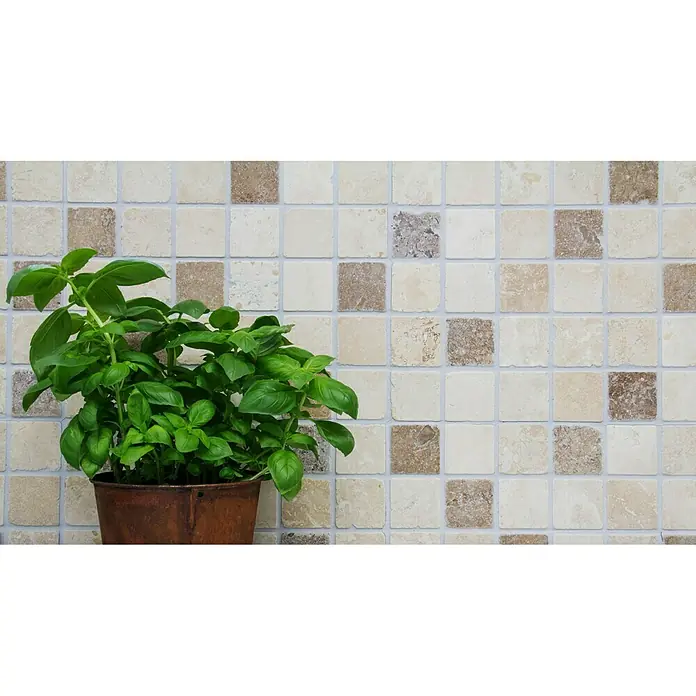 Mosaikfliese Quadrat XNT 46666 - 30,5 x 30,5 cm, Beige, Matt - Detailaufnahme