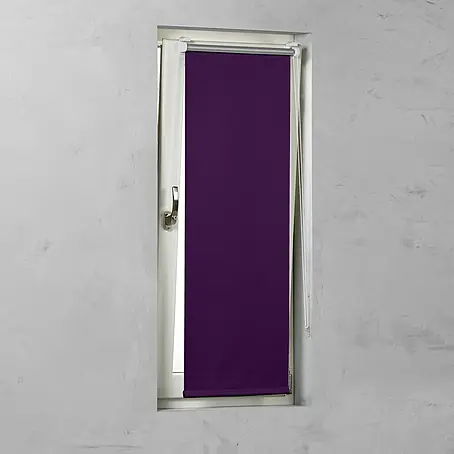 Expo Ambiente  Rollo Mini