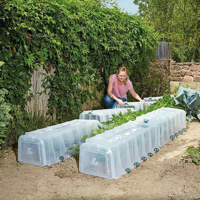 Garantia Sunny Pflanztunnel - 40 x 105 x 30 cm - Anwendungsbeispiel