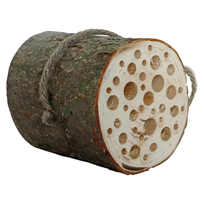 Dobar Insektenhotel Wildbienen-Zylinder II - Ø x L: 9 mm x 10 cm, Birke - Rechte Seitenansicht