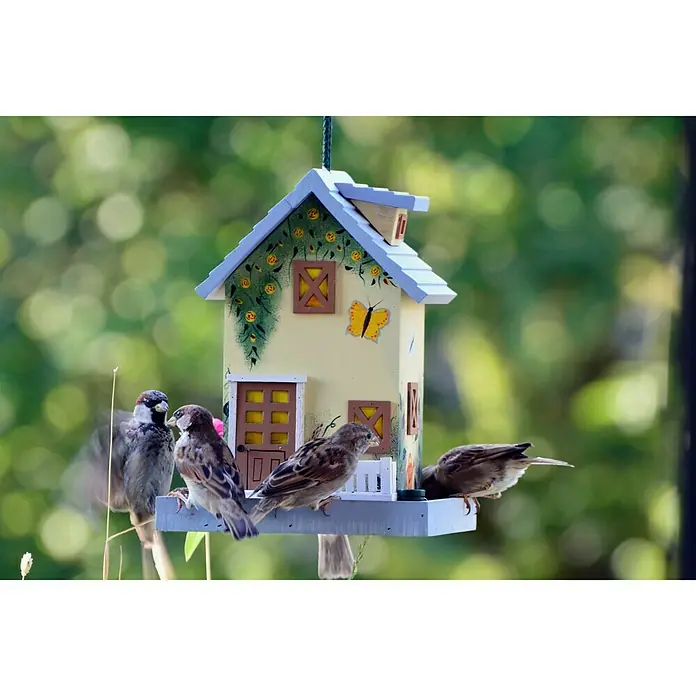 Dobar Vogelhaus Sommer - 18 x 18 x 23 cm - Stimmungsaufnahme