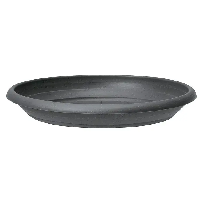Scheurich Podložak za teglu za cvijeće - Vanjska dimenzija (ø x V): 20 x 2,7 cm, Plastika, Antracit - Pogled sprijeda