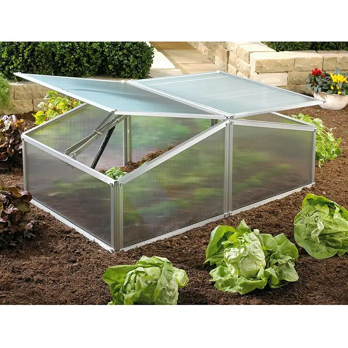 Vitavia Frühbeet Gaia XS - 60 x 100 x 26 cm, Transparent, Polycarbonat