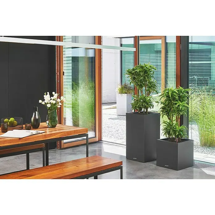 Lechuza Color Pflanzsäule eckig Canto - Außenmaß (L x B x H): 40 x 40 x 76 cm, Kunststoff, Graphit - Stimmungsaufnahme