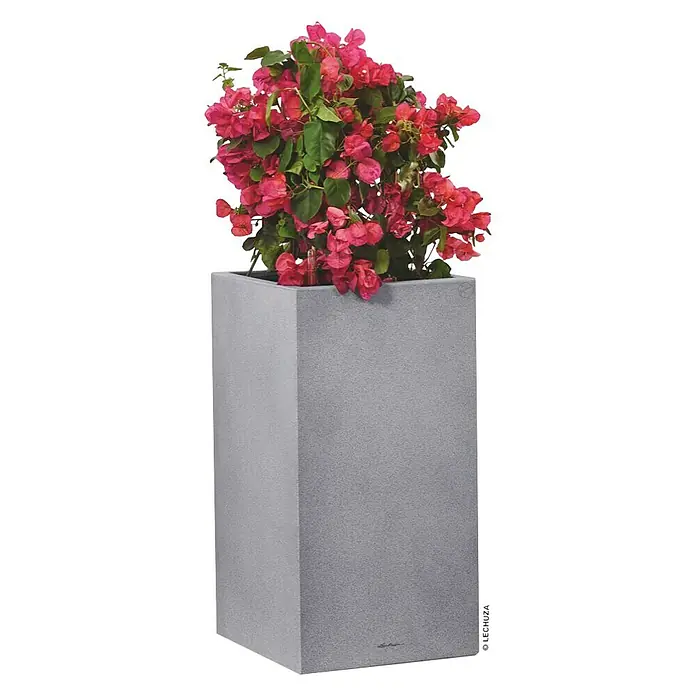 Lechuza Color Pflanzsäule eckig Canto - Außenmaß (L x B x H): 40 x 40 x 76 cm, Kunststoff, Steingrau - Vorderansicht