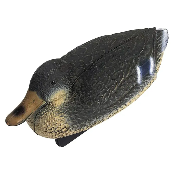 Oase Figura decorativa Pato grande Hembra - Plástico