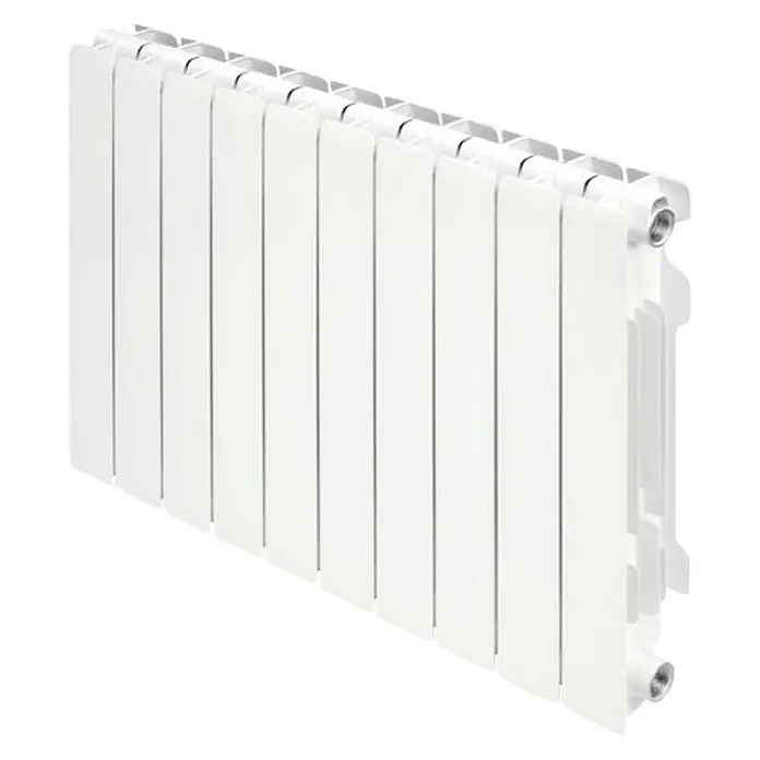 Ferroli Radiador de agua Proteo CHP - An x Al: 80 x 58,15 cm, 10 elementos, 1.060,6 W