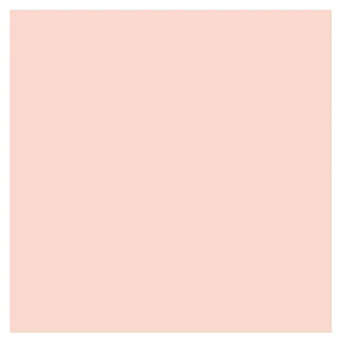 SCHÖNER WOHNEN-Farbe Wandfarbe Trendfarbe Tester - Poudre, 50 ml, Matt - Draufsicht