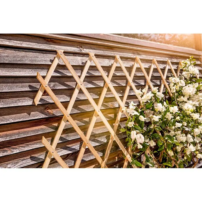 Windhager Faltspalier - B x H: 180 x 45 cm, Holz, Natur