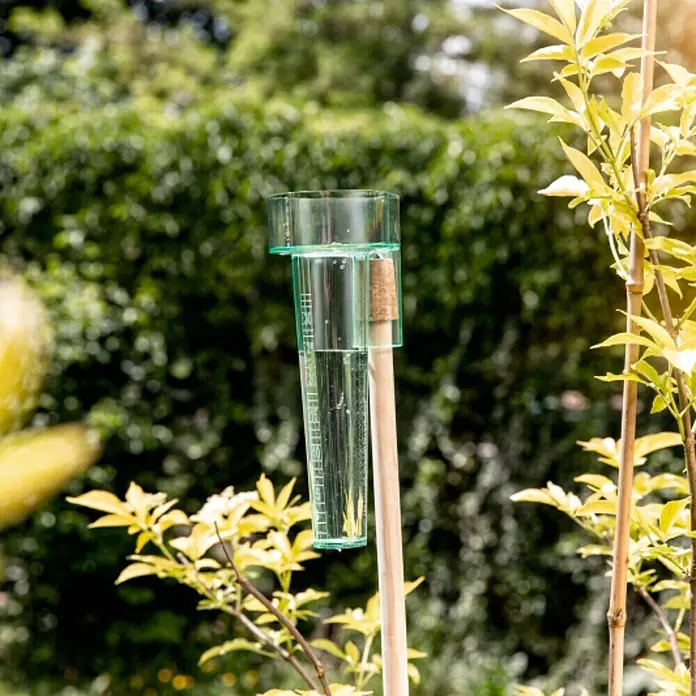 Windhager Regenmesser Profi - Höhe: 22 cm, Grün/Transparent