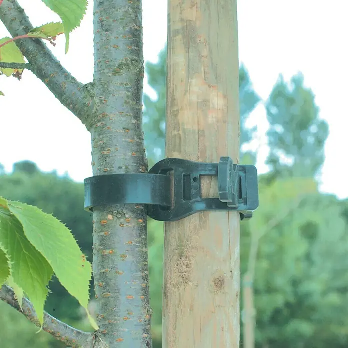 Nortene Brida de fijación para árbol Tree tie - Largo: 55 cm
