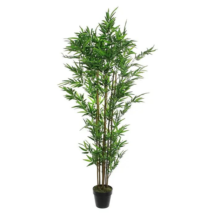 Planta artificial Bambú verde - Altura: 180 cm, Verde, Plástico, Diámetro: 60 cm