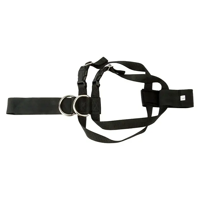 Correa para perros L - Negro