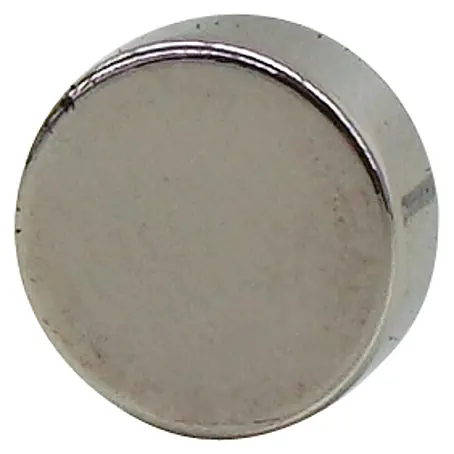 AS Creation  Magnet