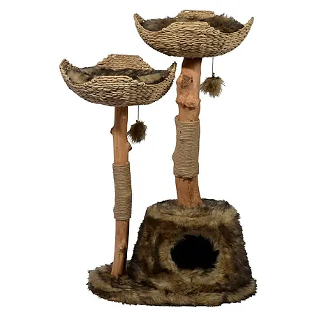 Dobar  Kratzbaum Tony