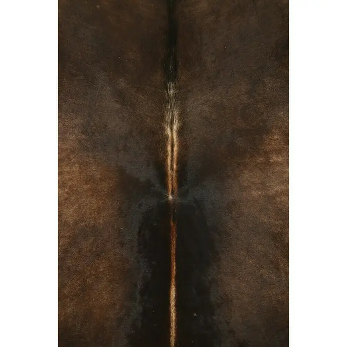 Esbeco Deko-Kuhfell - Exotisch Dunkel, 100 % Echtfell, Fläche ca.: 3 m² - 4 m² - Detailaufnahme