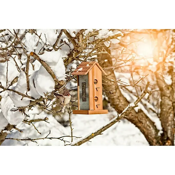 Windhager Vogelhaus Country - L x B x H: 17,5 x 19 x 38 cm, Massivholz, Braun