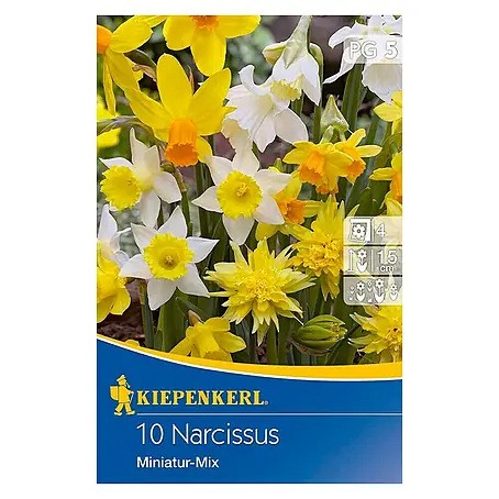 Kiepenkerl  Frühlingsblumenzwiebel-Mix Miniatur Narzissen