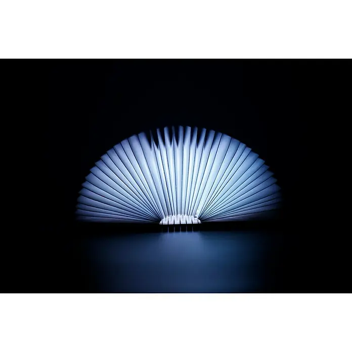 LED-Nachtlicht Book - Braun/Transparent, 2,5 x 9 x 12,3 cm, RGBW