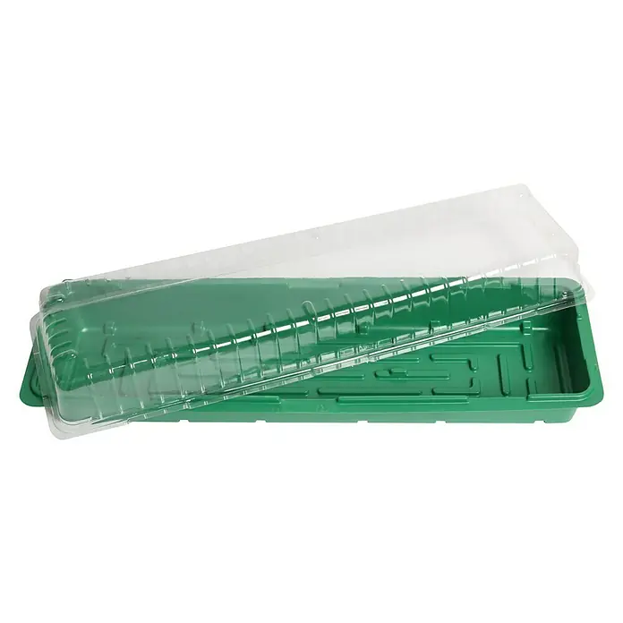 Floraworld Sobni staklenik - D x Š x V: 57 x 17 x 12,5 cm, Zelene boje