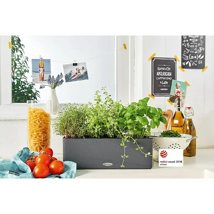 Lechuza Color Balkonkasten Cube Triple - Max. Außenlänge: 40 cm, Granit - Stimmungsaufnahme