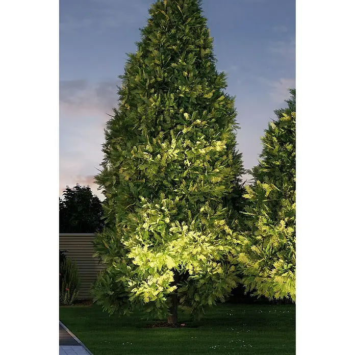 Paulmann Plug & Shine LED kerti spotlámpa Cone - Magasság: 42 cm, Földtüske, 24 V - Hangulatos felvétel