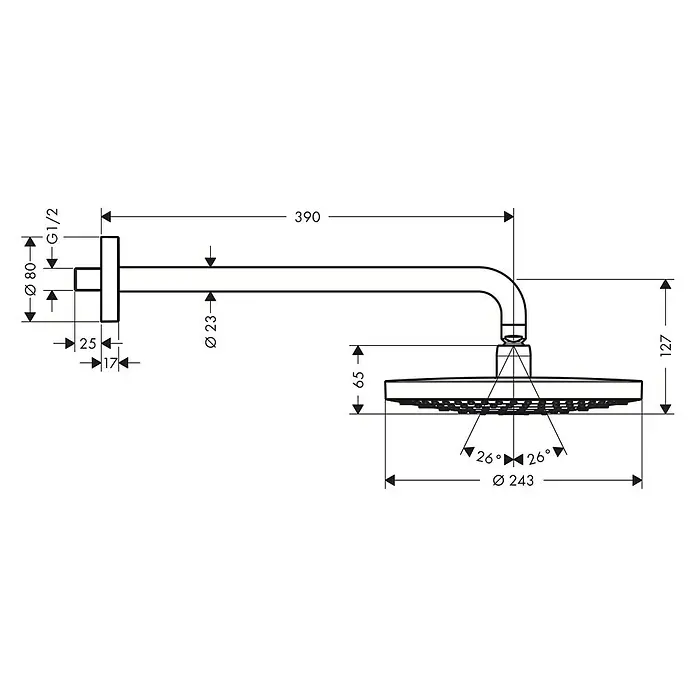 Hansgrohe Douchekopset - Diameter: 24 cm, 17 l/min bij 3 bar, Wandmontage, Chroom