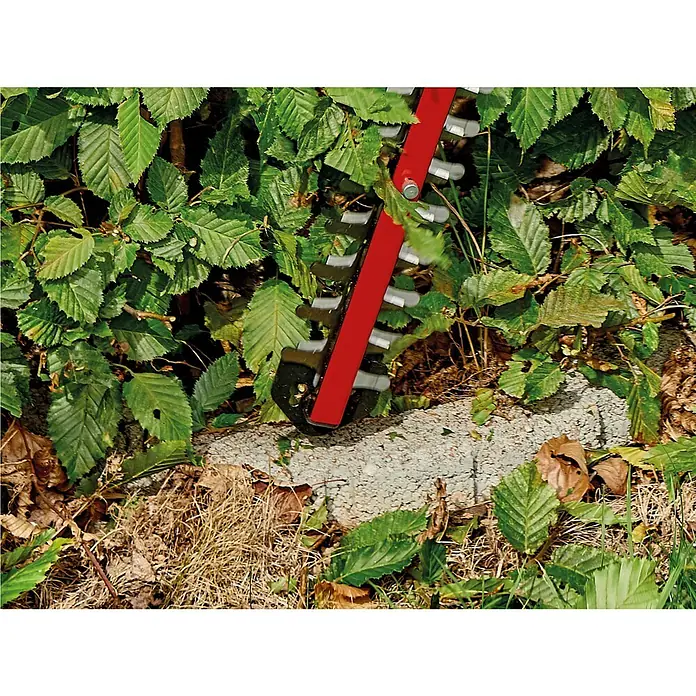 Einhell Power X-Change Akumulatorske škare za živicu Arcurra - Napon akumulatora: 18 V, Tip punjive baterije: Litij-ionska, Broj baterija: Bez akumulatora, Duljina reza: 55 cm - Proizvod u upotrebi