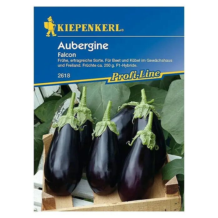 Kiepenkerl Profi-Line Gemüsesamen Aubergine Falcon - Solanum melongena, Erntezeit: Juli - Vorderansicht