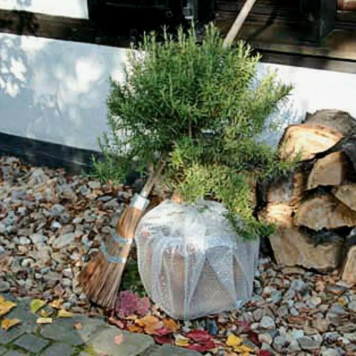 Floraworld Luftpolsterfolie - 500 x 100 cm, 80 µm