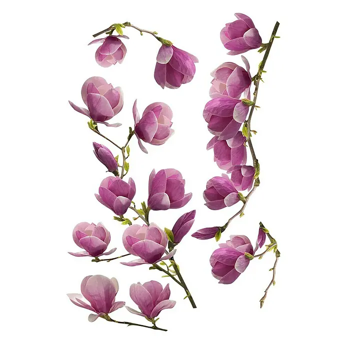 Wandtattoo - Magnolien - Vorderansicht