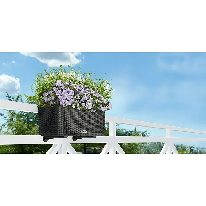 Lechuza Cottage Balkonkasten Balconera - Max. Außenlänge: 50 cm, Granit - Stimmungsaufnahme