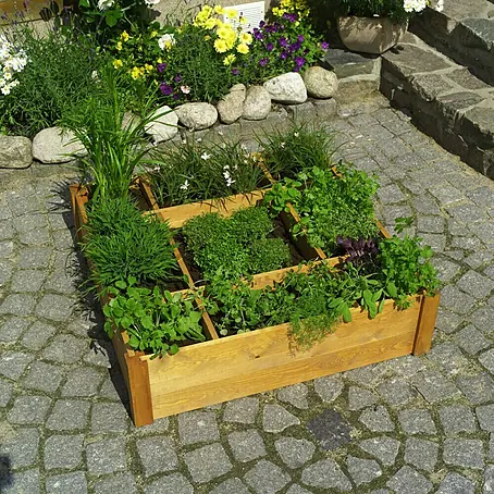 Promadino  Pflanzkasten Kräuterbeet