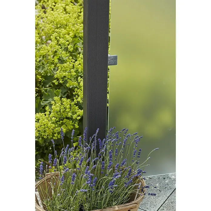 Plus Sichtschutzelement Futura - 90 x 127 cm, Glas, Transparent - Detailaufnahme
