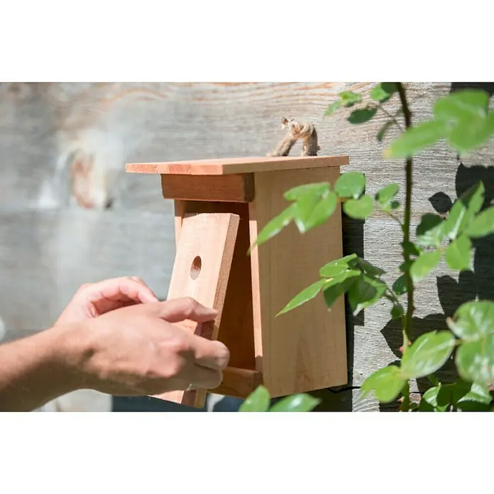 Windhager Nistkasten Birdy - Geeignet für: Meisen, L x B x H: 17 x 17 x 24,5 cm, Massivholz, Natur