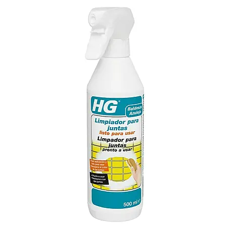 HG  Limpiador para juntas