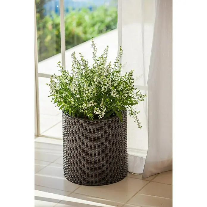 Keter Maceta para planta Samui - Dimensiones externas (Ø x Al): 28 x 28 cm, Plástico, Marrón