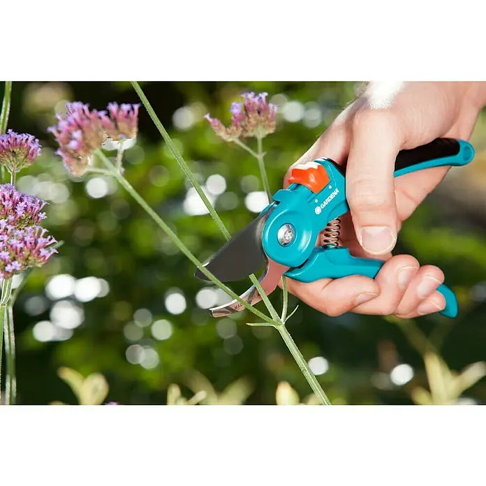 Gardena Classic Gartenschere B/S - Bypass, Max. Aststärke: 20 mm - Anwendungsbeispiel