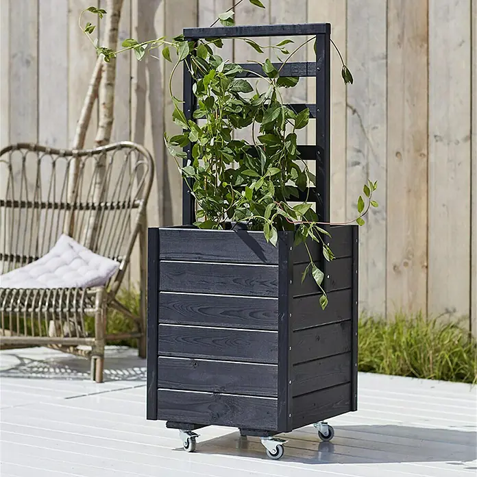 Plus Pflanzkasten - L x B x H: 48 x 48 x 124 cm, Schwarz, Mit Rankgitter - Stimmungsaufnahme