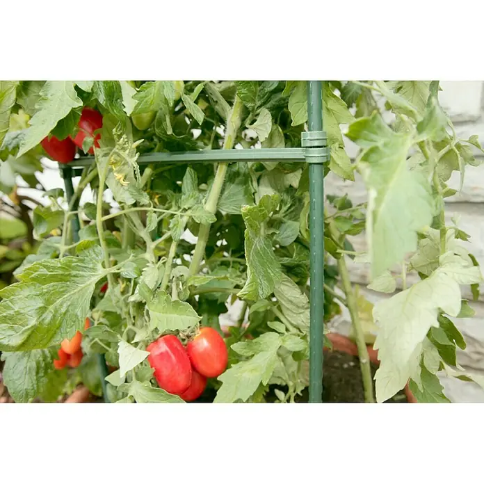 Windhager Tomatenturm - B x H: 30 x 150 cm, Dreieckig, Stahl, Kunststoffummantelt, Grün