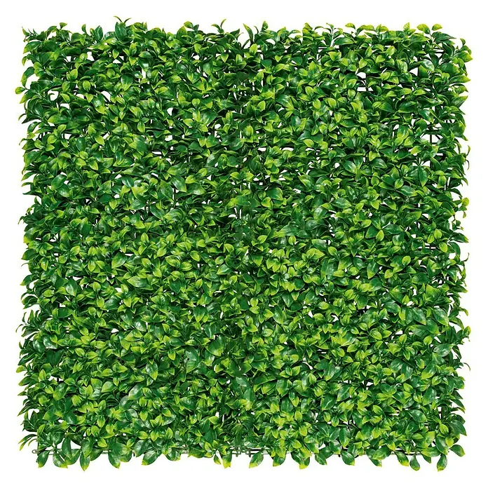 Jardín vertical Laurel - Plástico, L x An: 100 x 100 cm, Apto para: Decoración
