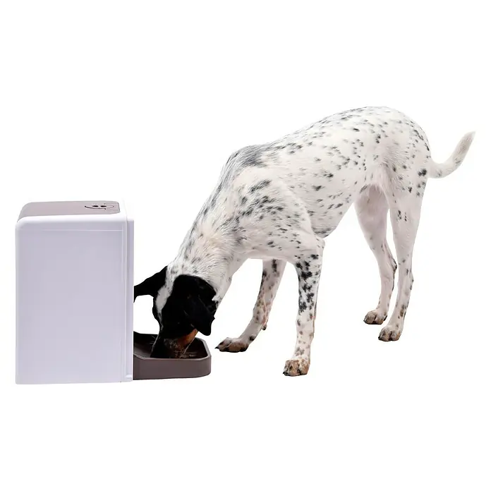 Dobar Futterspender - 24 x 41,5 x 36,5 cm, Fassungsvermögen: 10,65 l, Geeignet für: Hunde & Katzen - Stimmungsaufnahme