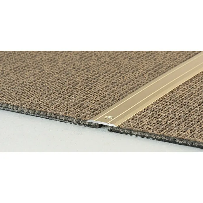 LOGOCLIC Übergangsprofil 133 - Sahara, 1 m x 25 mm x 2 mm, Montageart: Schrauben - Detailaufnahme